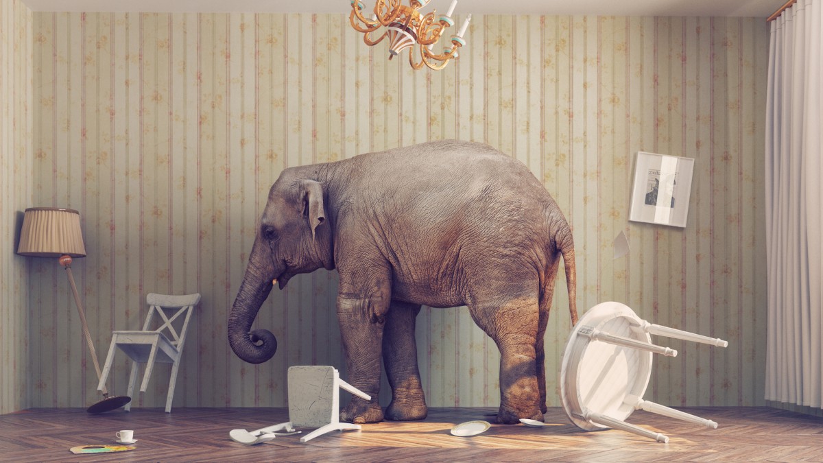 Olifant in de kamer - Wetenschappelijk Instituut