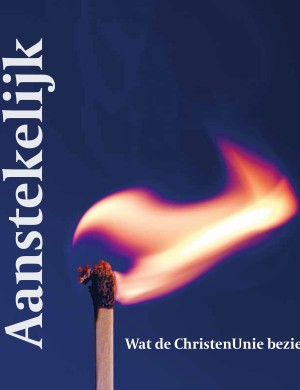 Aanstekelijk cover .jpg