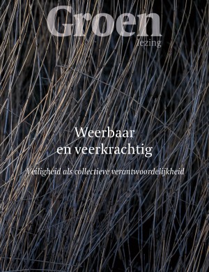 Groenlezing 2026-cover.jpg