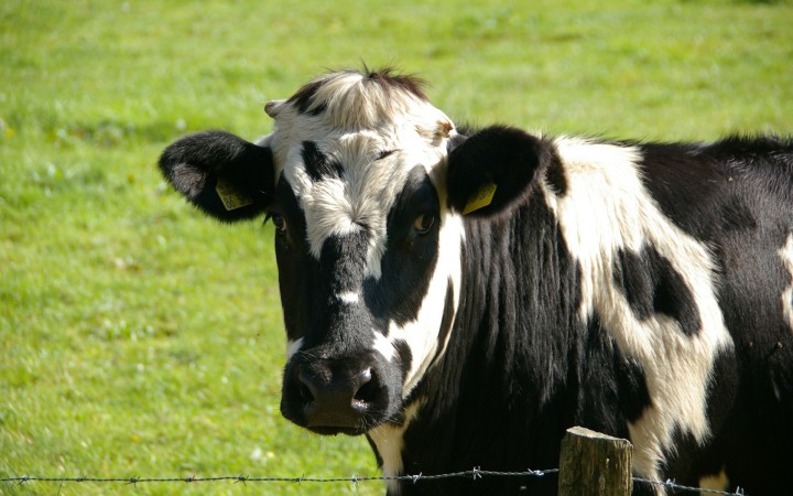 Geen landbouw zonder natuur.jpg